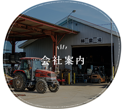 bnrhalf_company_off
